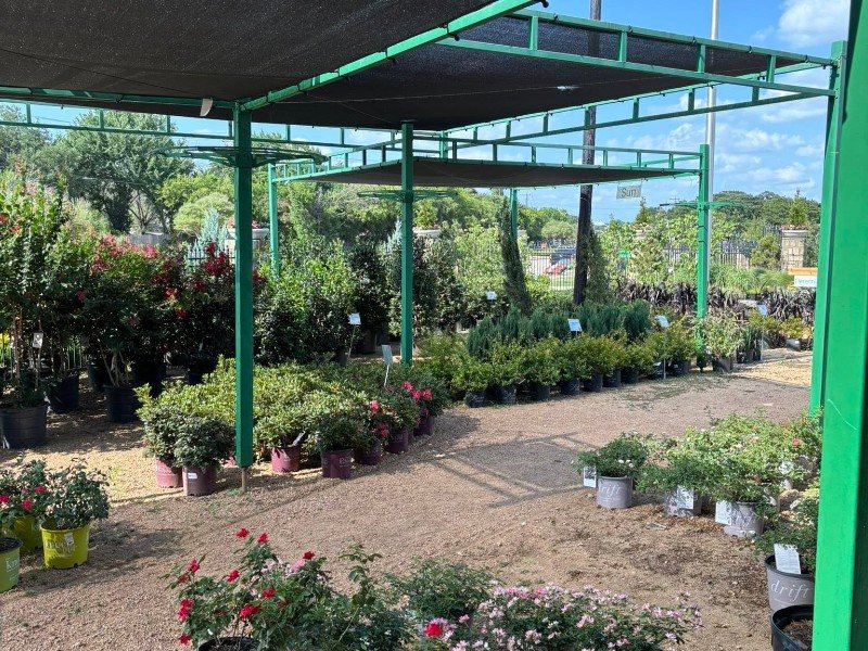 Rows of shrubs and evergreens under the shade structure at Land Care Garden Center
