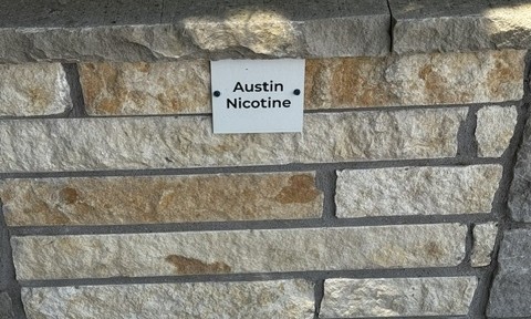 Austin Nicotine chopped stone sample on the building stone display wall at Land Care Garden Center in Flower Mound, TX